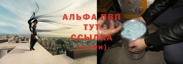 молекула духа Арсеньев