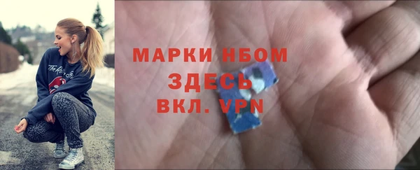 молекула духа Арсеньев
