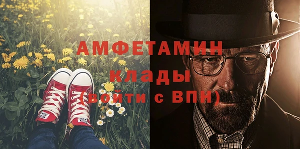 молекула духа Арсеньев