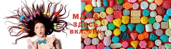 молекула духа Арсеньев