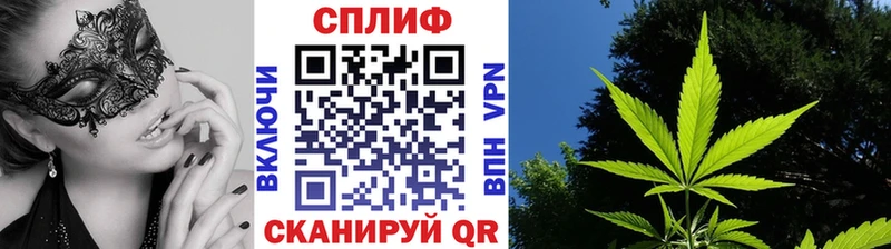 Марихуана индика  наркотики  Мышкин 